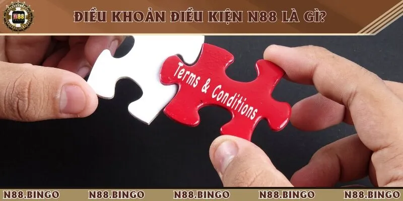 Tìm hiểu chính sách điều khoản và điều kiện của nhà cái N88 là gì?